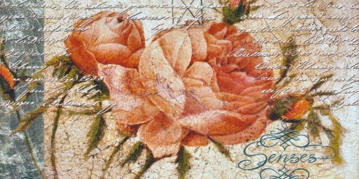 1280x800 Flowers: Peach Roses Artwork Romance Love Beauty Flower Art Painting