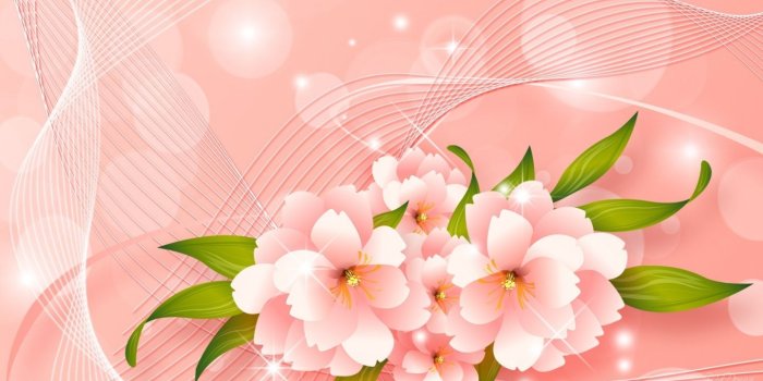 1440x810 Peach Wallpaper - Wallpapers Browse