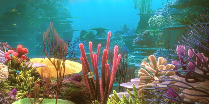 1920x1080 Colorful Coral Reef Wallpaper Photo #VXs | Earth | Ocean wallpaper