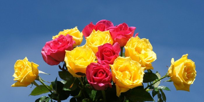 1600x1200 Wallpapers Roses: Bouquets red, orange, pink roses, white roses and