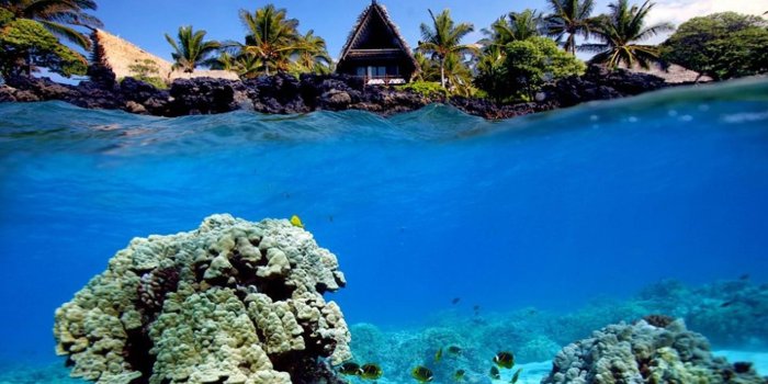 3000x1686 Coral Reef Wallpaper HD (65+ images)