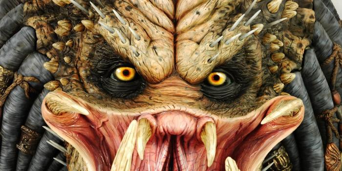 1920x1200 42 Predator Wallpapers | Predator Backgrounds | MY SON LIKES