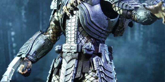 894x1311 Download Predator Pictures CnMuqi