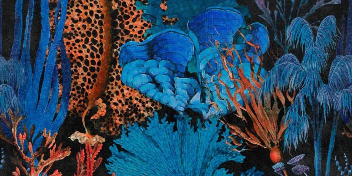 1370x1370 Coral Reef Wallpaper – April & The Bear