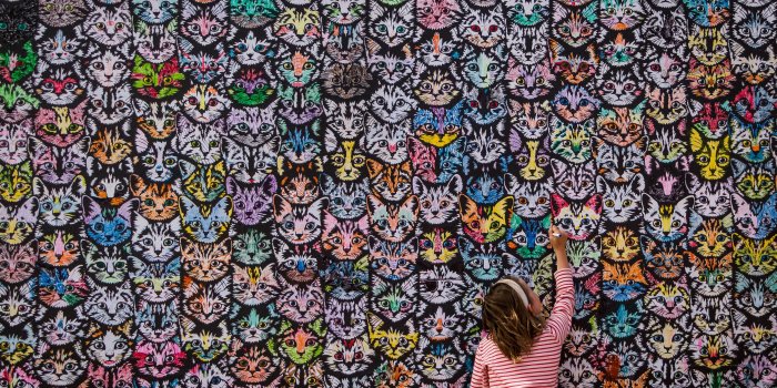 4124x2590 Assorted cat wall graffiti HD wallpaper | Wallpaper Flare