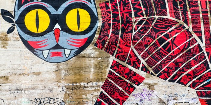 1920x1200 Wallpaper Graffiti, wall, cat, creative 1920x1200 HD Picture, Image