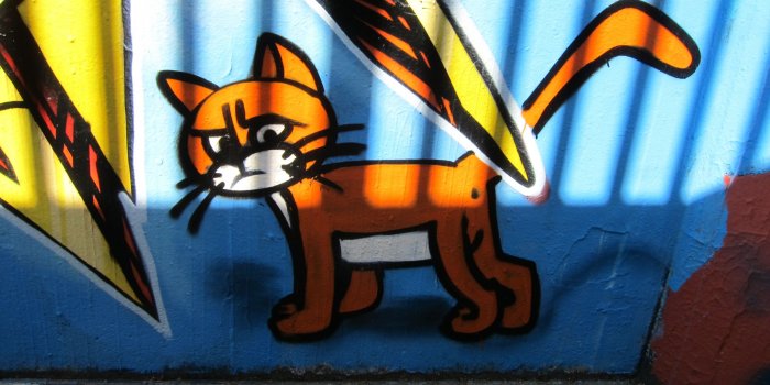 3000x2000 Cat Graffiti Art ❤ 4K HD Desktop Wallpaper for 4K Ultra HD TV