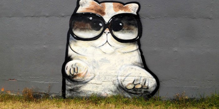 1920x1080 Graffiti HD Wallpaper | Background Image | 1920x1080 | ID:423174