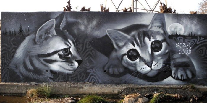 1024x768 Cat Graffiti Art – Knotty Toys for Good Dogs