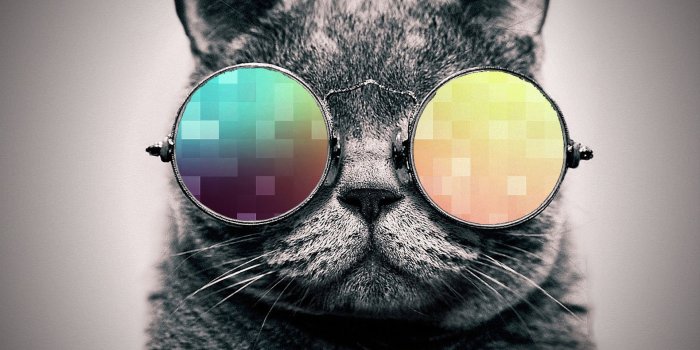 1920x1200 1920x1200 cool cat wallpaper. By ToValhalla Download 1920 X 1200