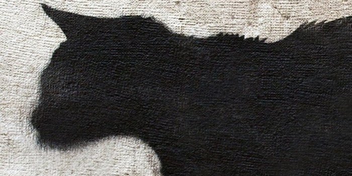 1080x1920 Wallpaper Black cat walk, graffiti, wall 3840x2160 UHD 4K Picture, Image