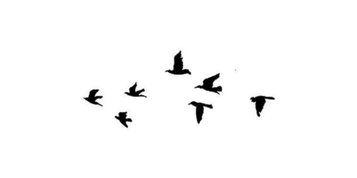 744x1392 Follow me Nimisha Neha | Ashlyn | White wallpaper for iphone