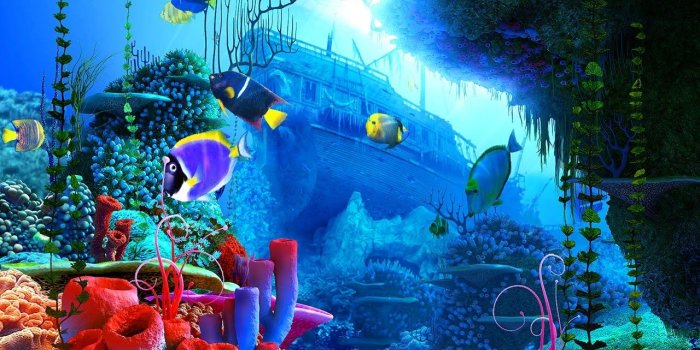 1280x720 17324 coral reef screensavers wallpaper