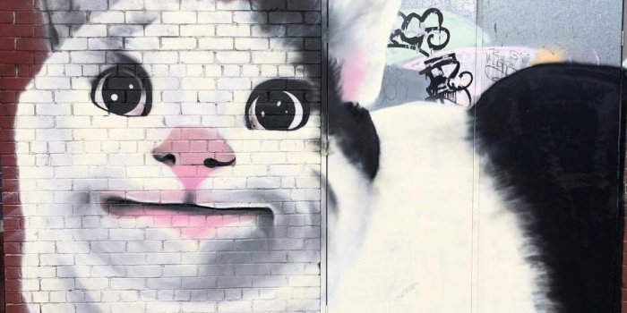 1125x1112 Graffiti is illegal, but he seems very polite so we'll make an