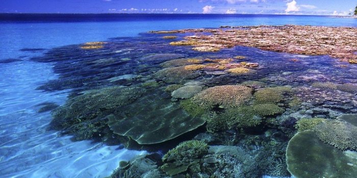 1024x819 islands marshall coral reef wallpaper Art HD Wallpaper