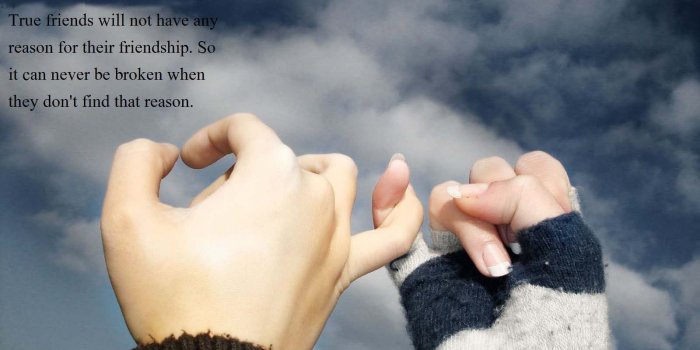 1600x900 40+ Cute Friendship Quotes With Images | Friendship wallpapers
