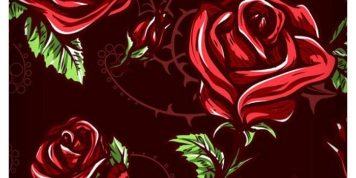 824x1500 The Racoon Lean Maroon Rose Wallpaper Hard Plastic - Maroon Rose