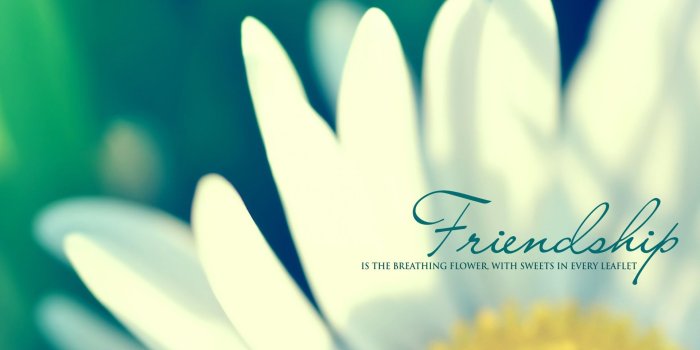 1920x1200 28707 cute friendship wallpaper