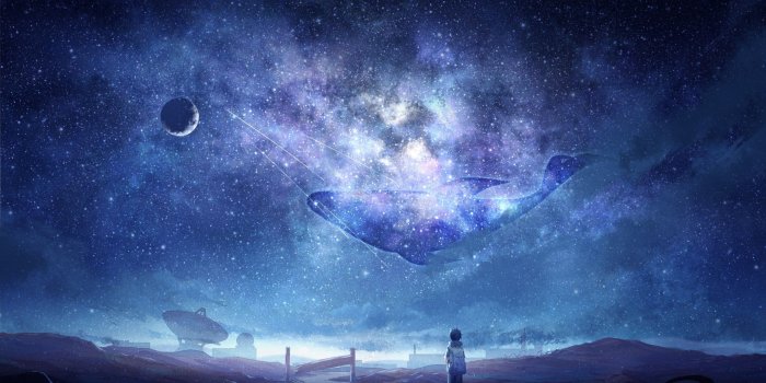 2560x1440 Download 2560x1440 Anime Sky, Milky Way, Stars, Anime Boy, Dog, Moon