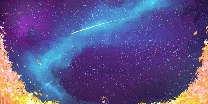 1920x1080 Wallpaper Anime Girl, Space, Stars, Galaxy, Falling Stars, Petals