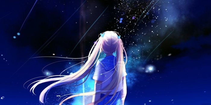 1440x2160 Download 1440x2960 wallpaper anime girl, outdoor, night, starfall