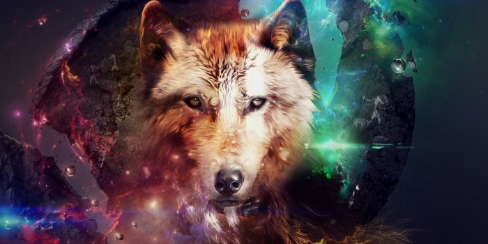 2048x1536 Magic Wolf ❤ 4K HD Desktop Wallpaper for 4K Ultra HD TV • Tablet