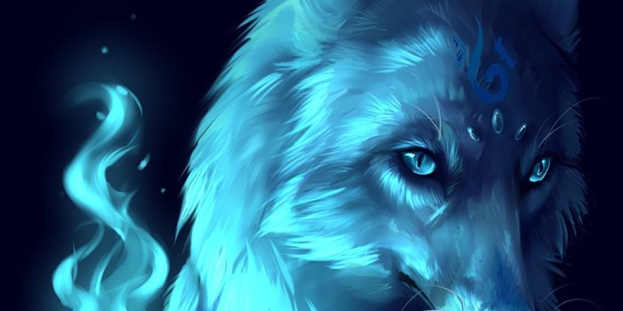 1024x1024 Pictures wolf Fantasy Light Blue Snout Magical animals Staring