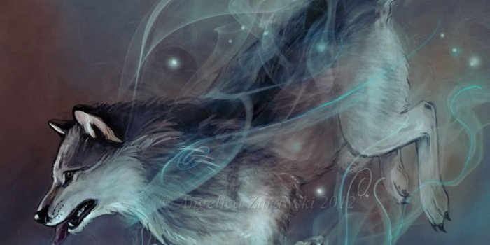 800x1131 Magic Wolf Images - Reverse Search