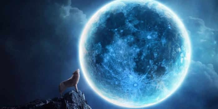 1920x1200 howling, Cg, Digtal, Art, Fantasy, Animals, Dogs, Wolves, Wolf