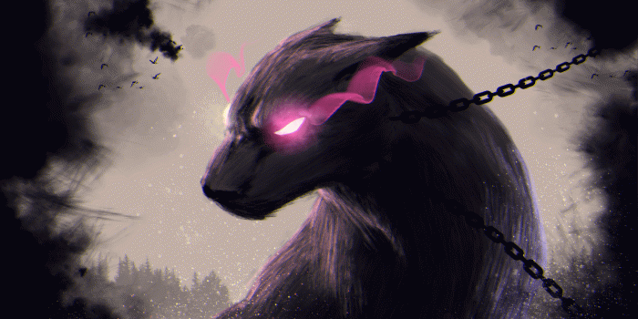 1920x1080 Magic wolf wallpapers - animalcarecollege.info