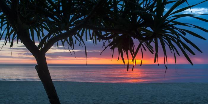 1920x1080 1920x1080 Tree Beach Seashore Summer Laptop Full HD 1080P HD 4k