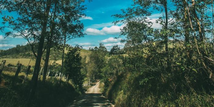 1366x768 Download wallpaper 1366x768 summer, road, trees, sky, sunny tablet