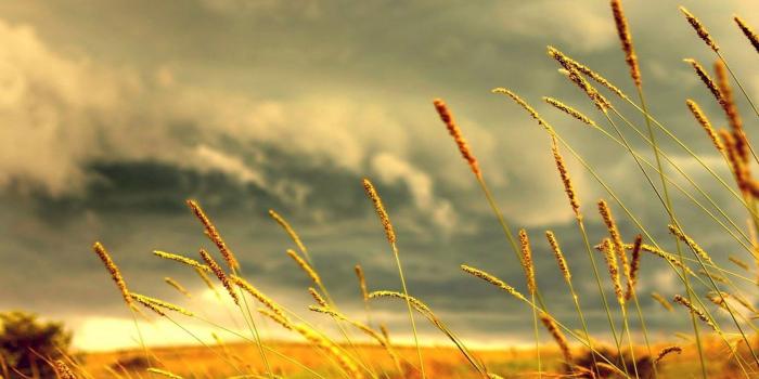 1920x1200 Free Download Superior Images, 22 Summer 4K Ultra HD Wallpapers