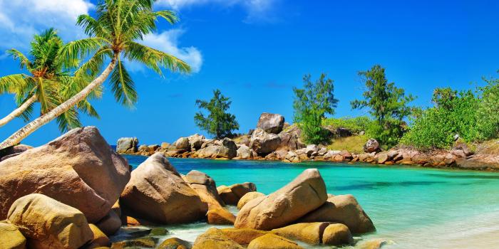 4150x2334 55+ Tropical Laptop Wallpapers - Download at WallpaperBro