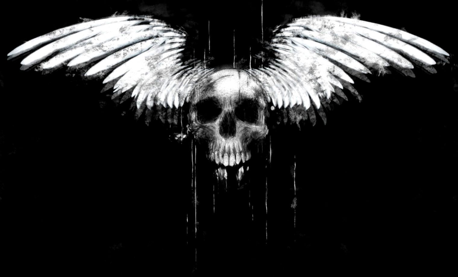 1520x920 Wallpaper Hd Dark Skull | Wallpapers Library