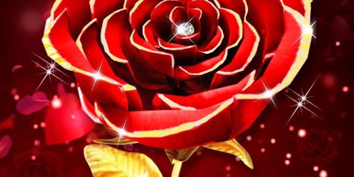 720x1280 Gold Red rose wallpaper. Special VIP design for your mobile. Luxury