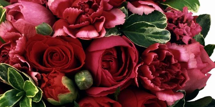 1280x1280 Download wallpaper 1280x1280 roses, carnations, flowers, maroon