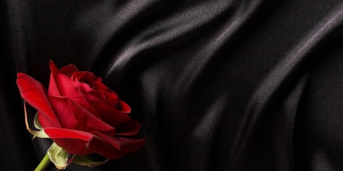1920x1080 62+ Black Roses Wallpapers on WallpaperPlay