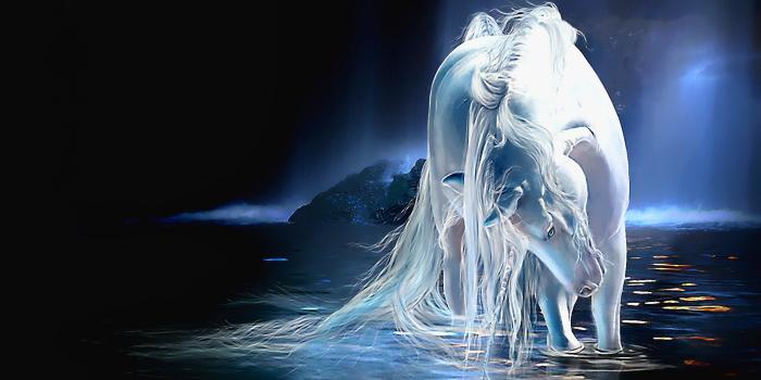 1920x1080 White Horse Unicorn Hd Wallpaper For Your Mobile Phone And Computer