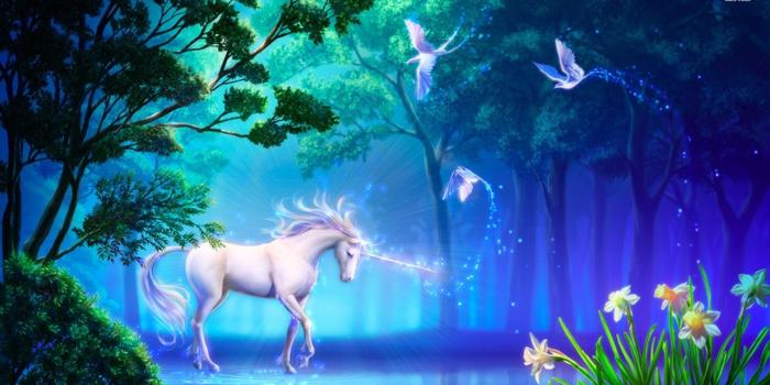 1920x1080 Unicorn hd wallpapers Gallery