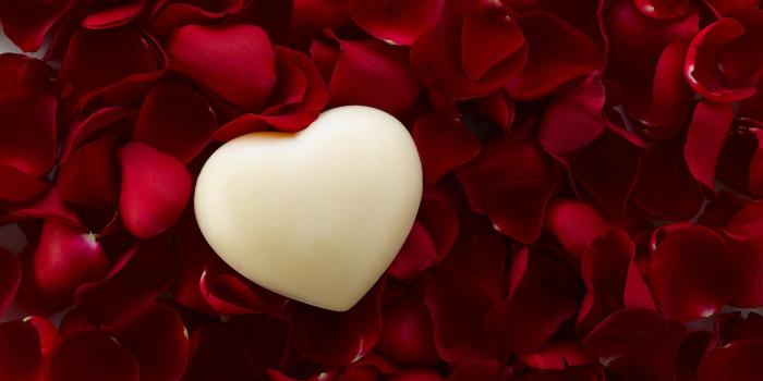 3713x2774 Heart Rose Wallpapers