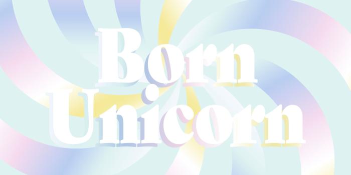 1920x1080 Born Unicorn Mobile & Desktop Backgrounds