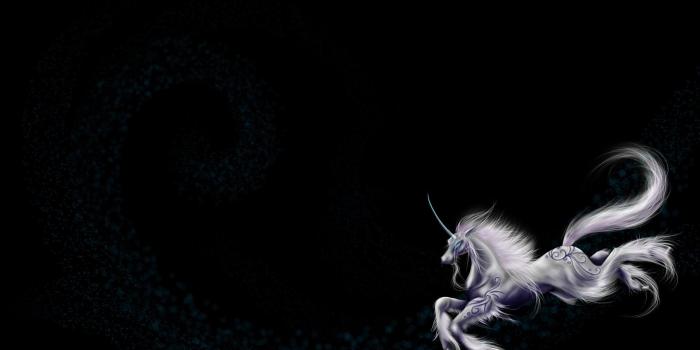 1920x1080 Unicorn HD desktop wallpaper : Widescreen : High Definition : Fullscreen