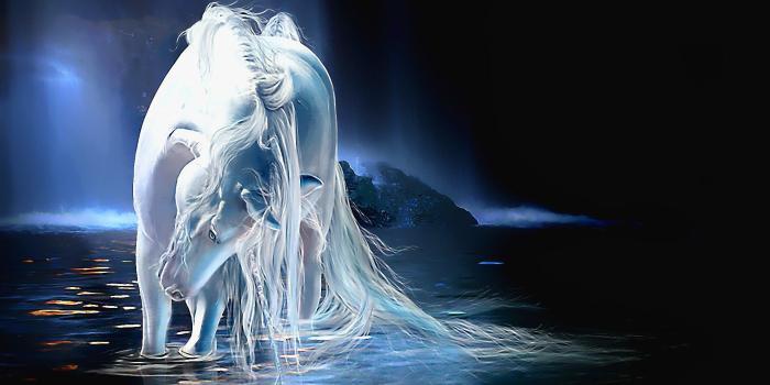 1920x1080 Amazing Unicorn HD Wallpapers Wallpaper Desktop Images Background