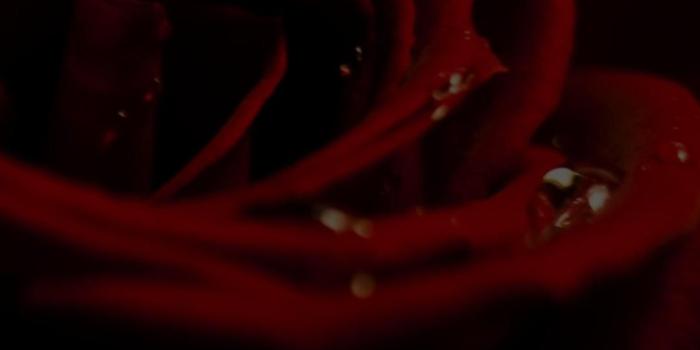 1080x1920 3d Rose Wallpaper (38+) - HD Nice Wallpapers