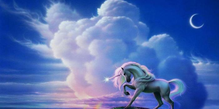 1920x1080 26141 unicorn desktop wallpaper