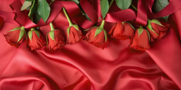 3840x2160 Wallpaper Red fabric and red roses 3840x2160 UHD 4K Picture, Image