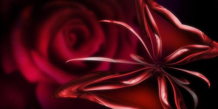 1024x768 Red Butterfly Wallpapers - Top Free Red Butterfly Backgrounds