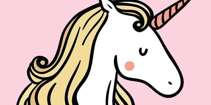 720x1308 Cartoon Unicorn Wallpaper (38+), Find HD Wallpapers For Free