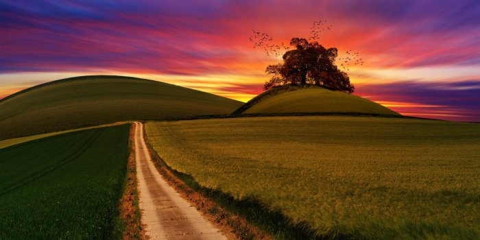 1880x1057 Wallpaper Picture, Colourful Sky, Fields, Green, Hd, Nature, Path